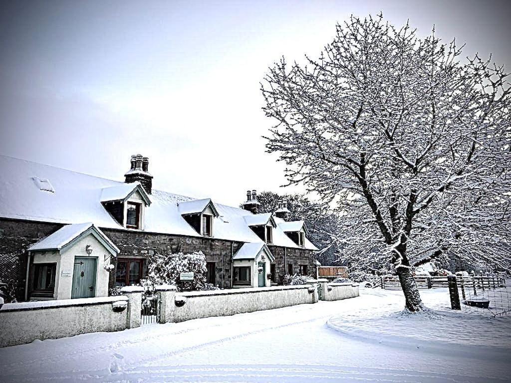 Rosemount Bothy - Highland Cottage Garve Exteriér fotografie