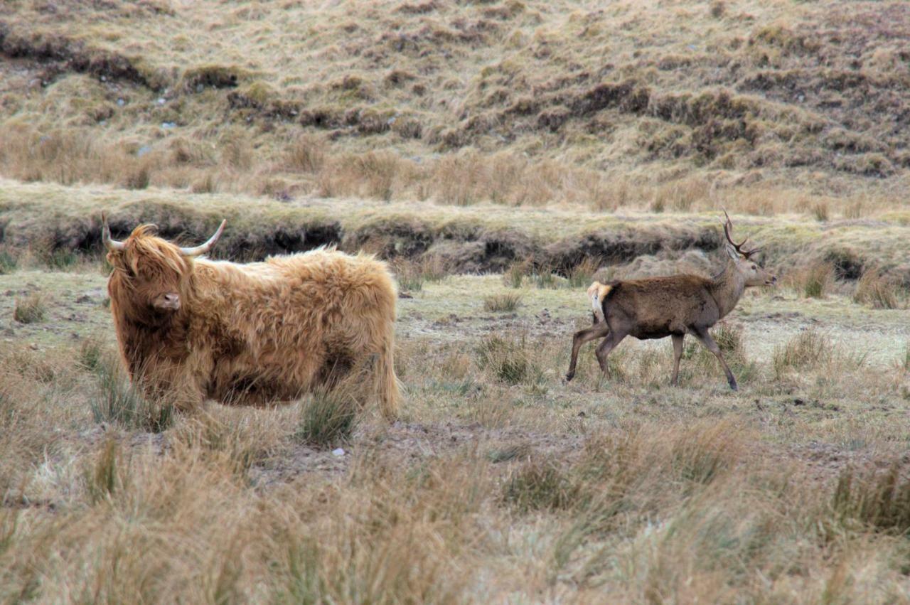 Rosemount Bothy - Highland Cottage Garve Exteriér fotografie